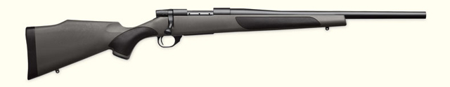 Weatherby Vanguard Varmint Special 