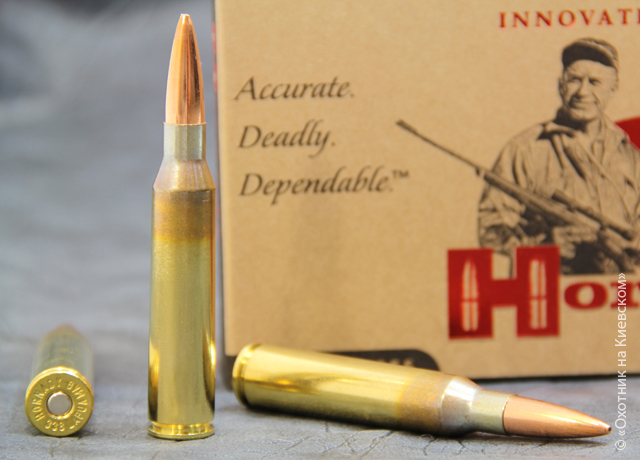 Hornady 10