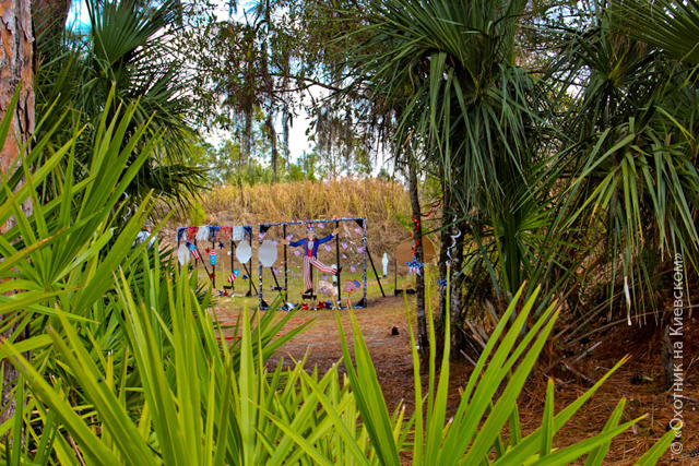 Florida Open 10