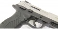 Taurus PT 809  SS Mate